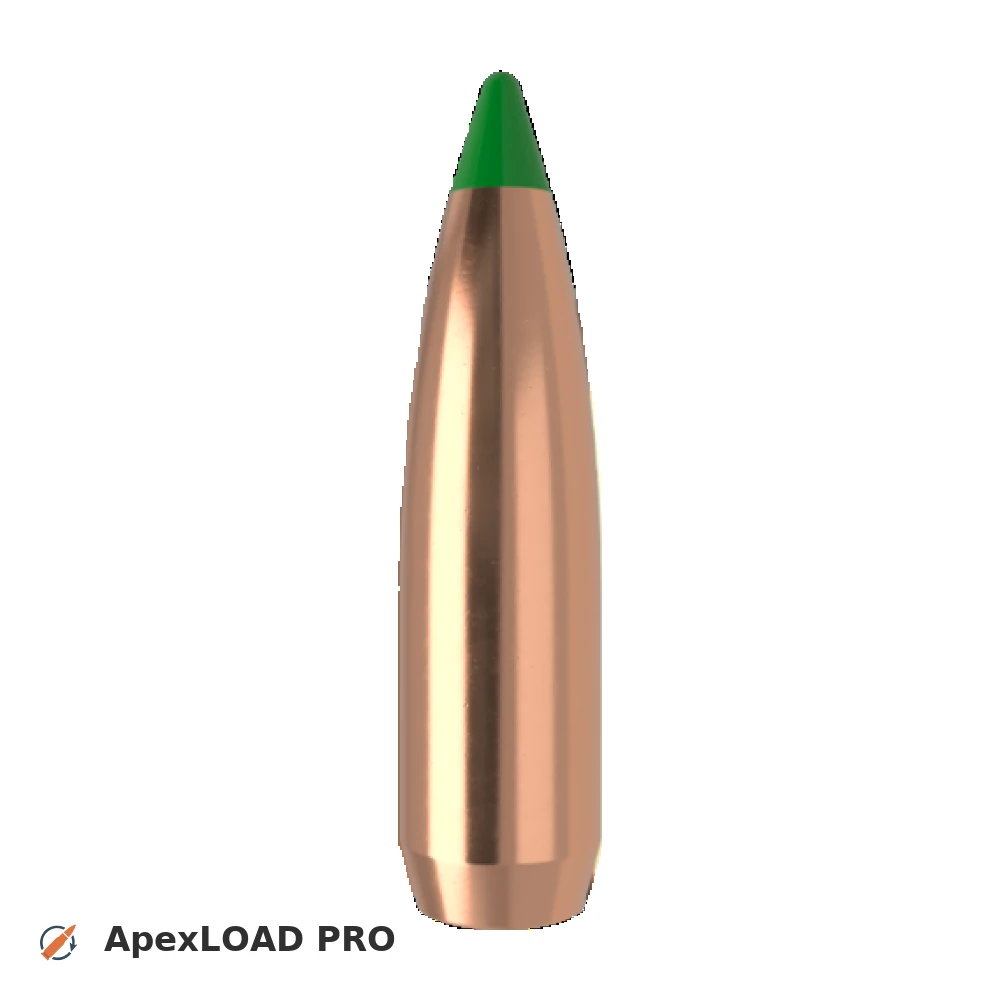 165gr Nosler Ballistic Tip Hunting bullet image