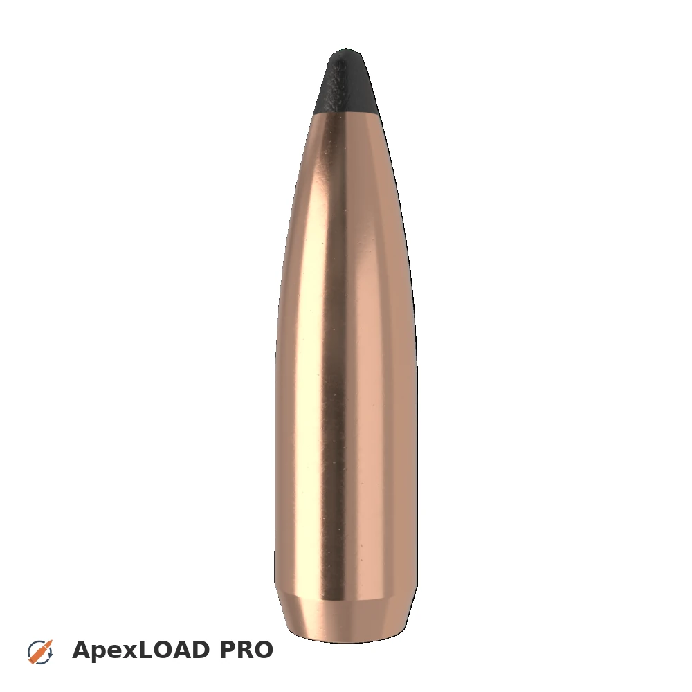 180gr Nosler Solid Base bullet image