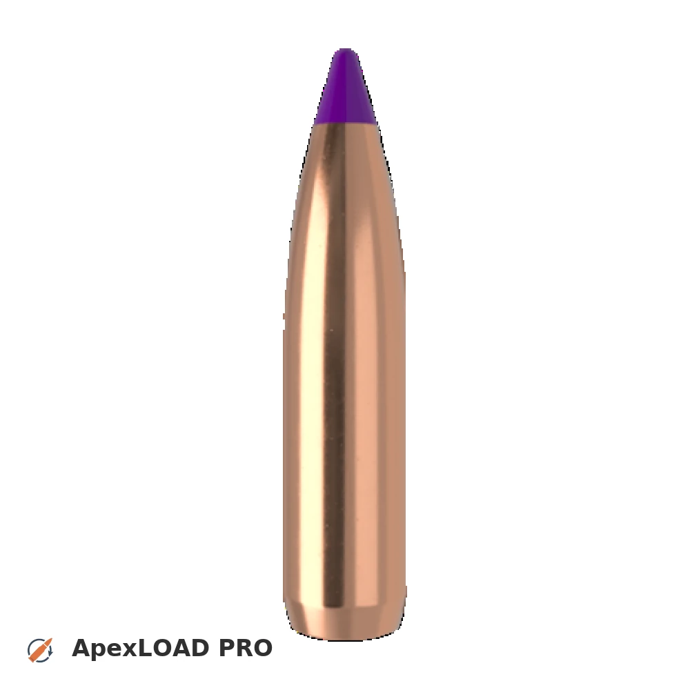 95gr Nosler Ballistic Tip Hunting bullet image