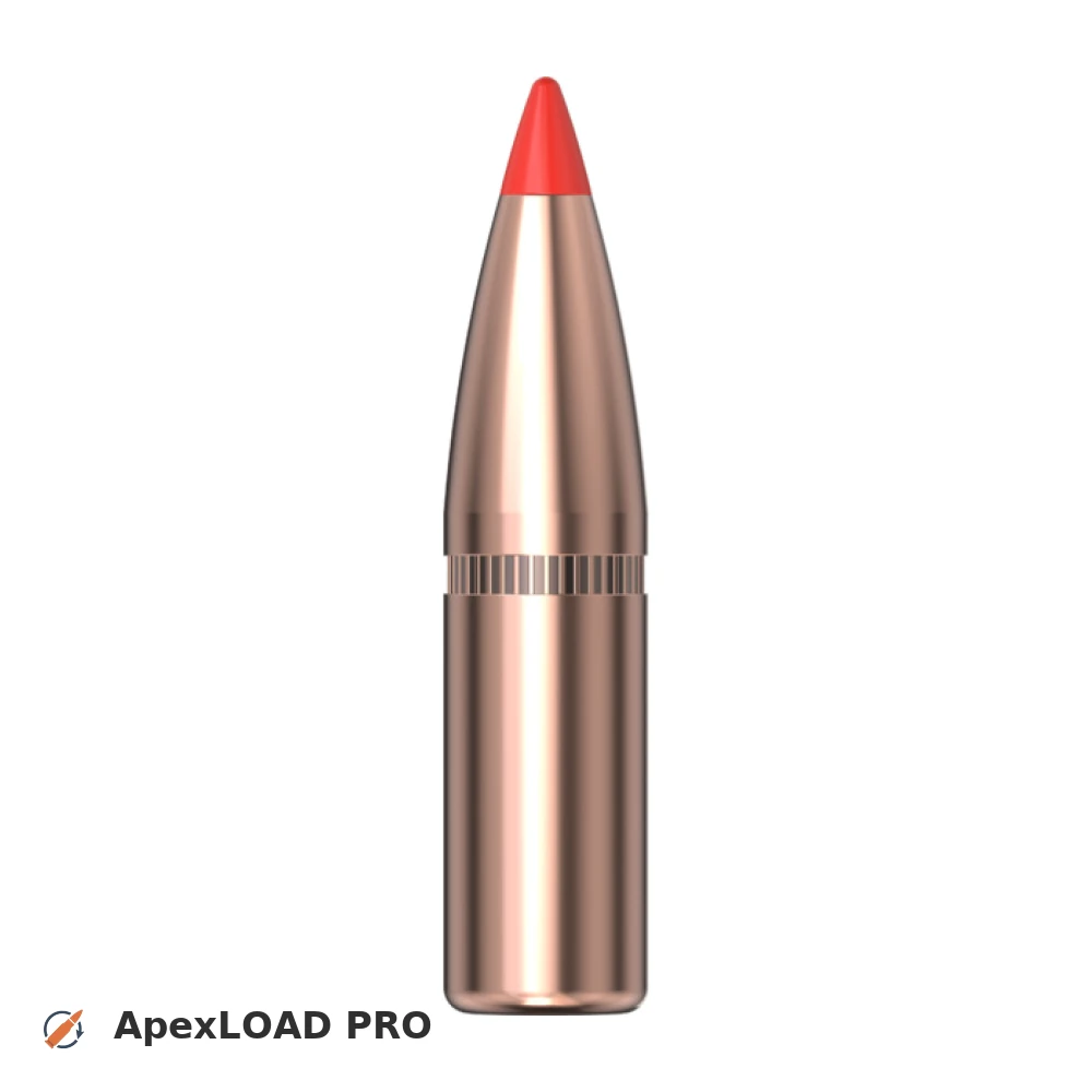 95gr Hornady SST bullet image