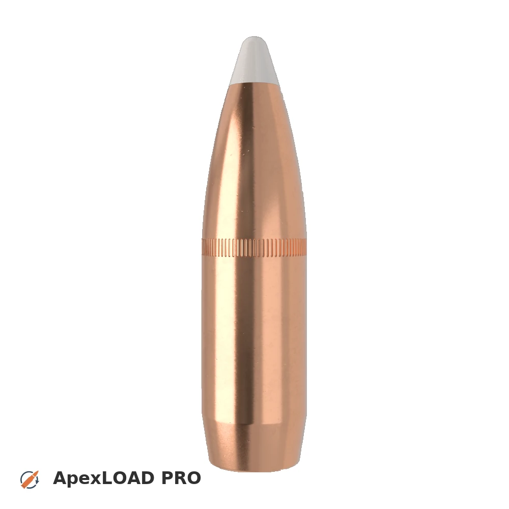 300gr Nosler AccuBond bullet image