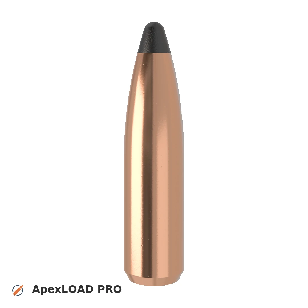 95gr Nosler Partition bullet image