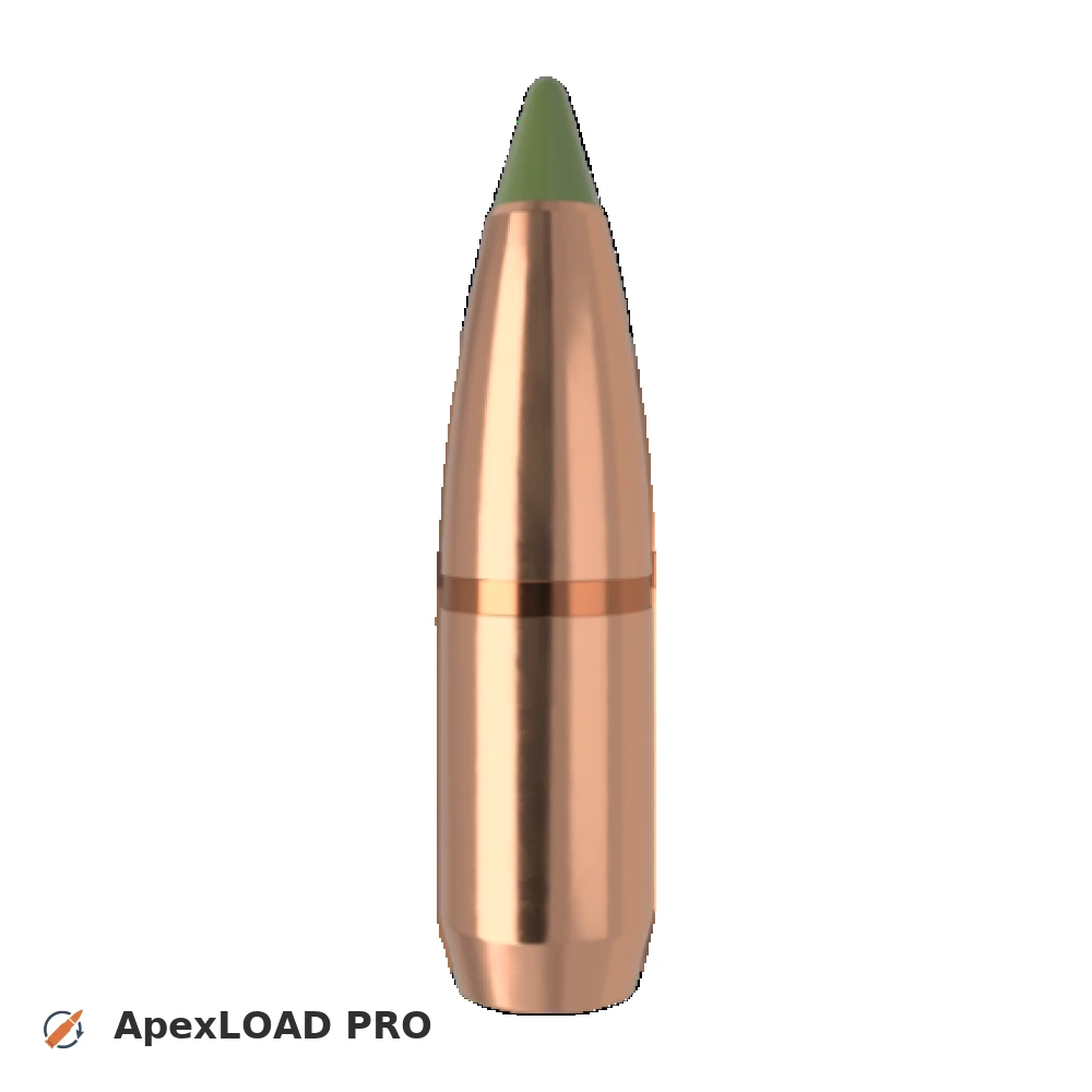 150gr Nosler Expansion Tip bullet image