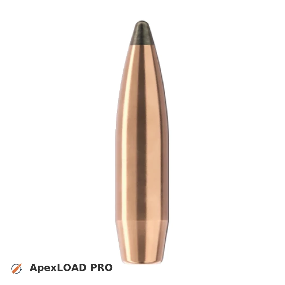200gr Sierra GameKing bullet image