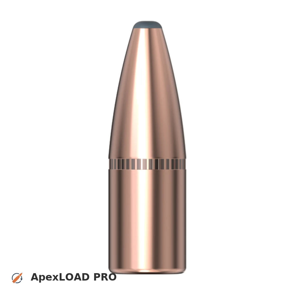270gr Hornady SP bullet image