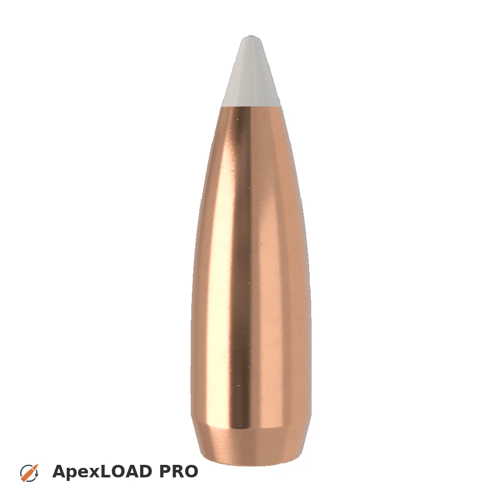 125gr Nosler AccuBond bullet image