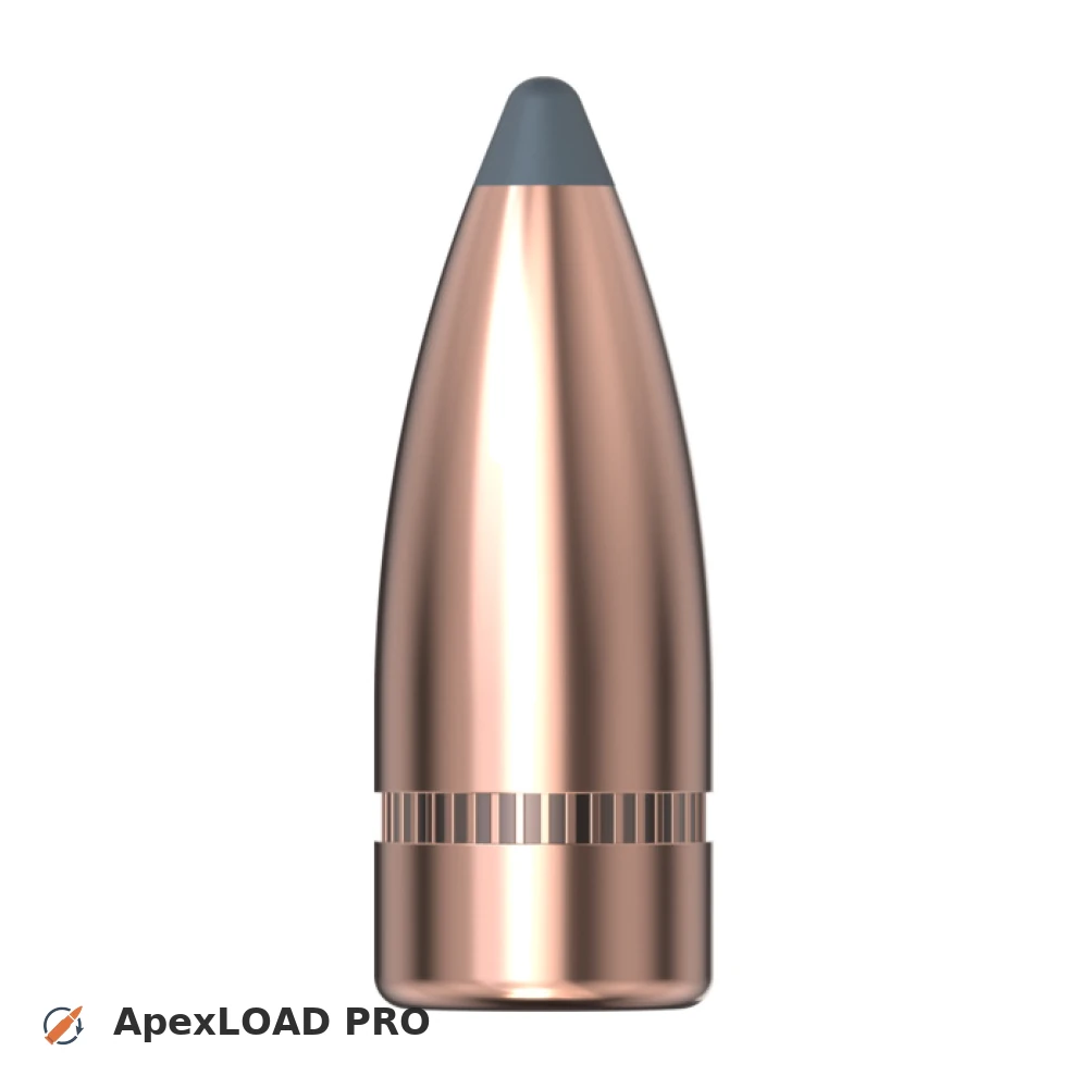.310 | 123gr | Hornady SP koeël laaidata