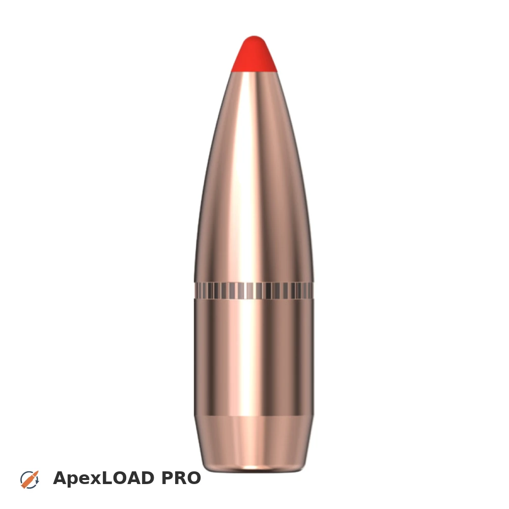 200gr Hornady FTX bullet image