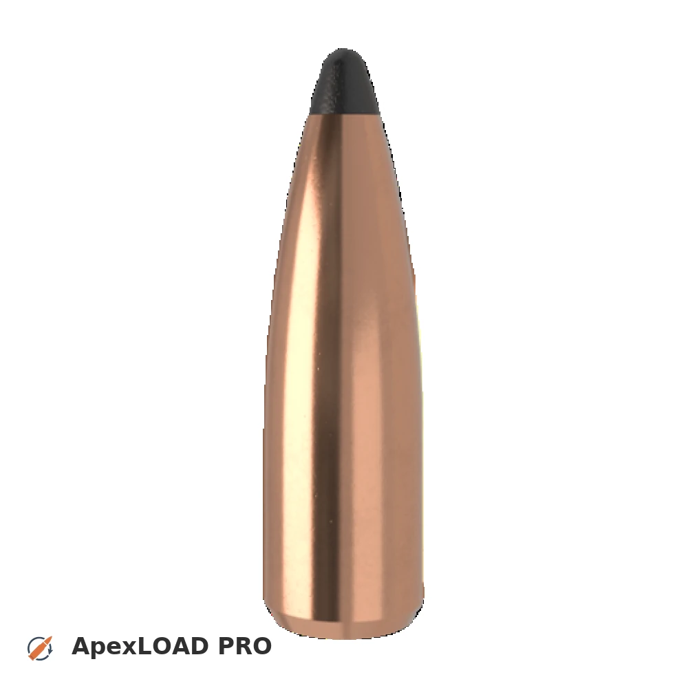 150gr Nosler Partition bullet image