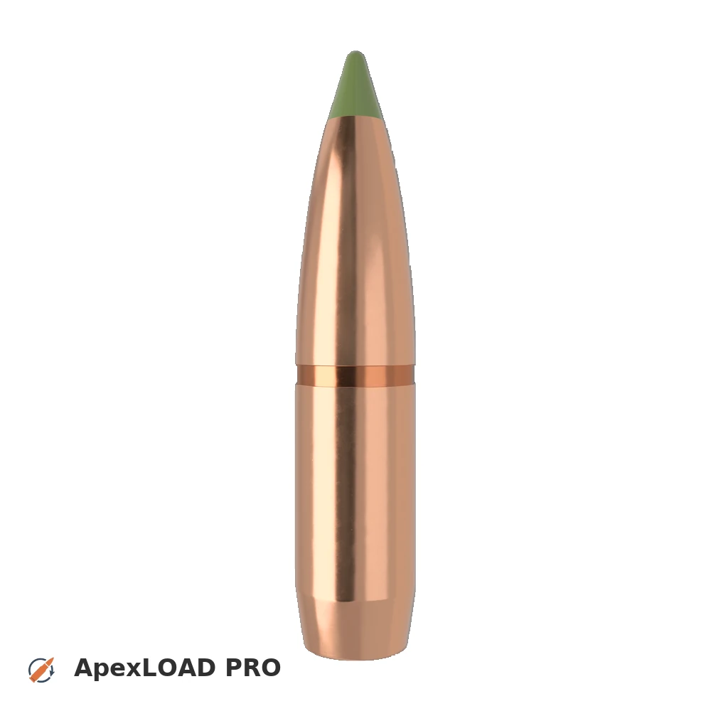250gr Nosler Expansion Tip bullet image