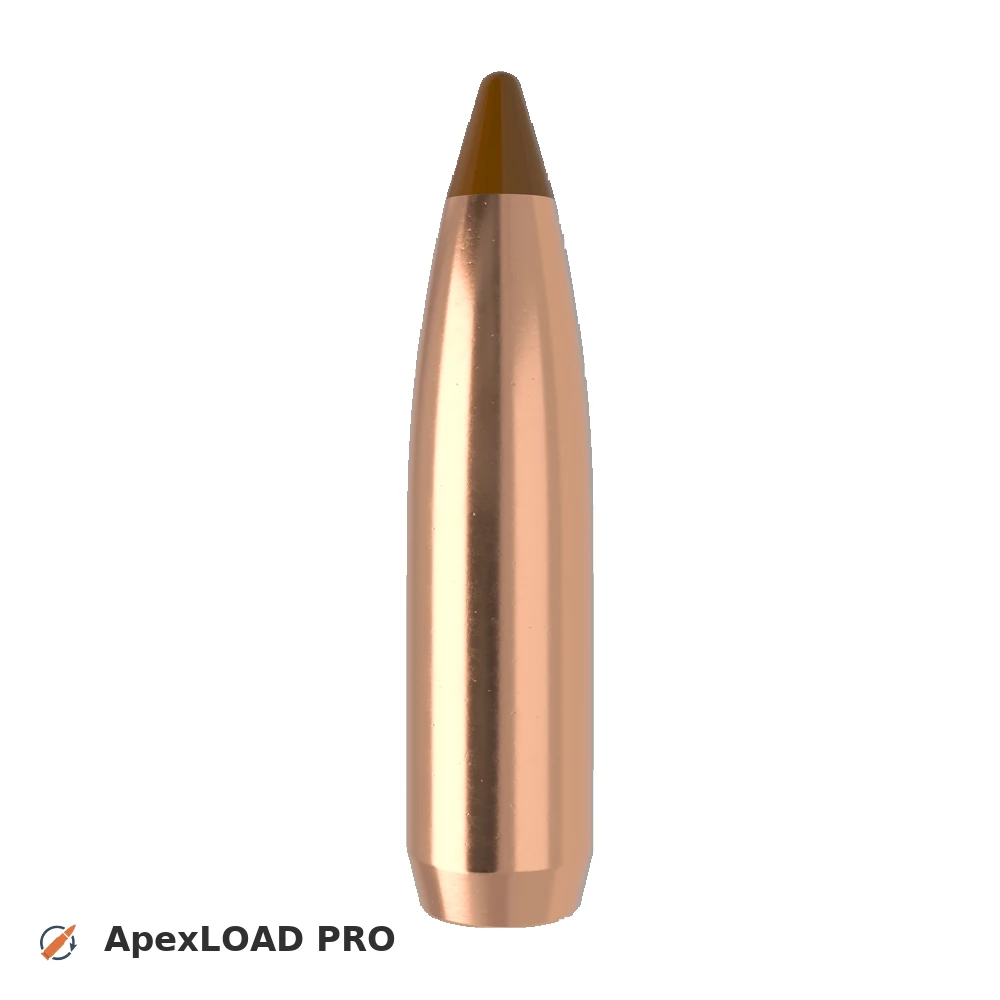 120gr Nosler Ballistic Tip Hunting bullet image