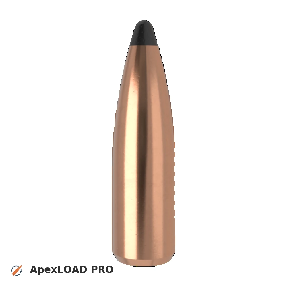 165gr Nosler Partition bullet image
