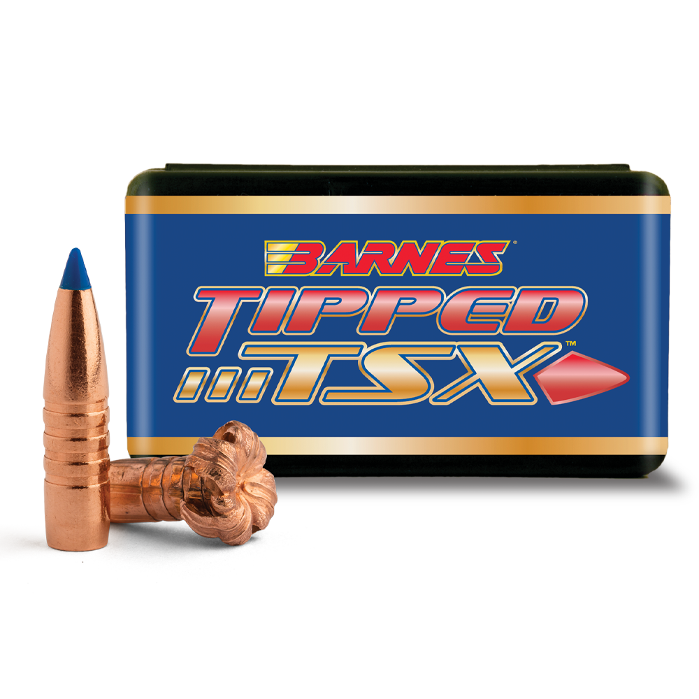 Barnes Barnes - TTSX bullet type