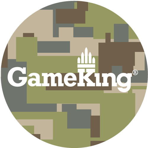 Sierra Sierra - GameKing bullet type